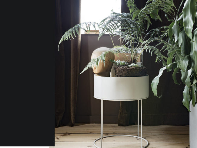 Plant Box Round | プラントボックス ラウンド by ferm LIVING