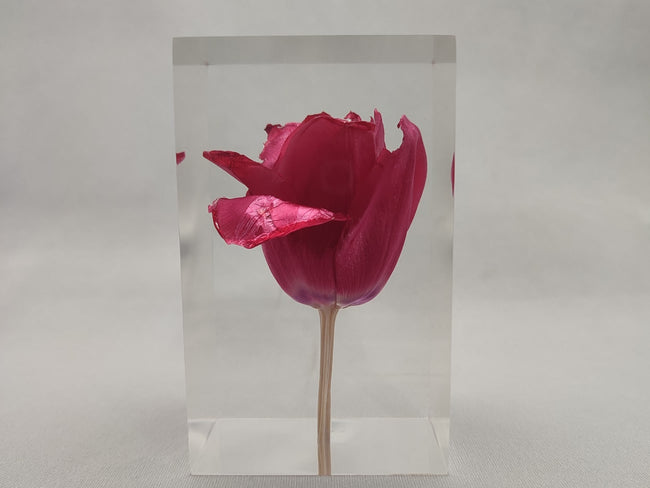 Tulip Red Object | チューリップレッドオブジェ by Takao Inoue | Generate Design