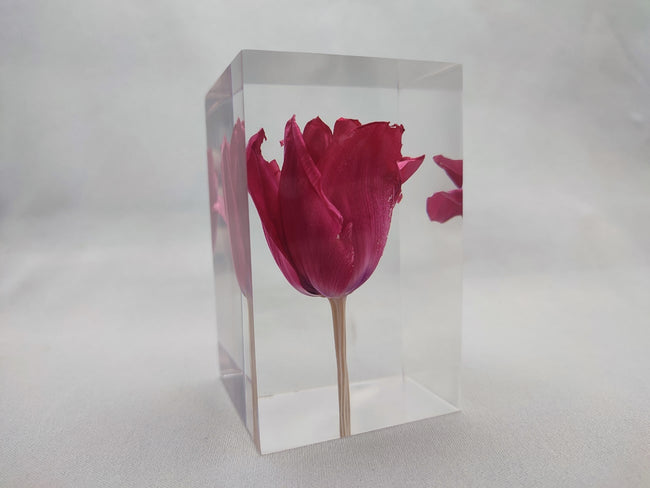 Tulip Red Object | チューリップレッドオブジェ by Takao Inoue | Generate Design